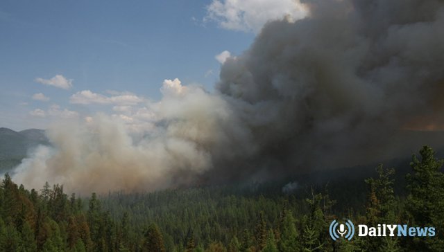 Трассу М-7, которая находится во Владимирской области затянуло дымом из-за лесного пожара.