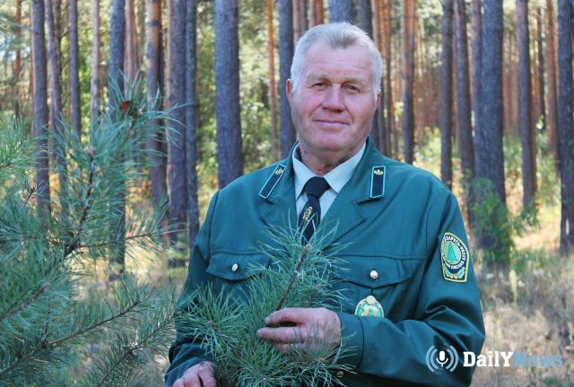 Дмитрий Медведев поздравил работников леса с профессиональным праздником