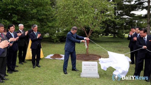 Президент Южной Кореи принял участие в посадке "золотого" дерева на территории Пхеньяна