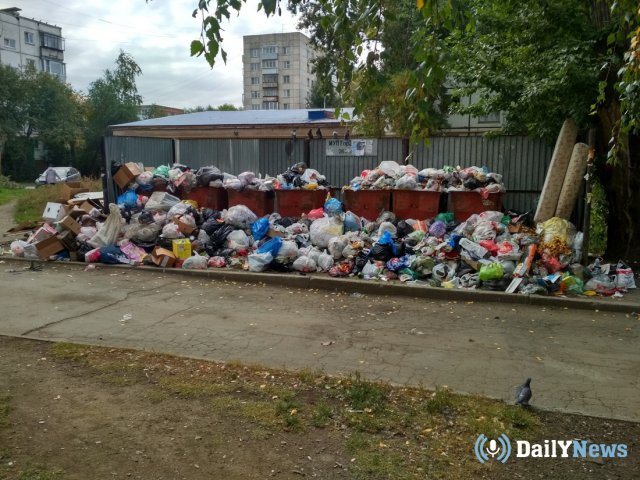 В Челябинске с 20 сентября не вывозится мусор - город превращается в свалку