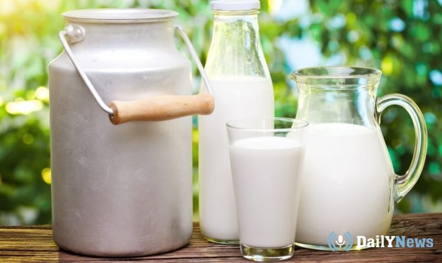 Эксперты заявили, что самое лучшее молоко в РФ производят в Карелии