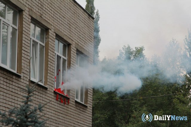 В Хакасии домашние животные устроили пожар