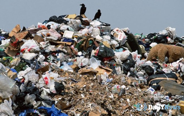 В Тюмени обнаружили незаконную мусорную свалку