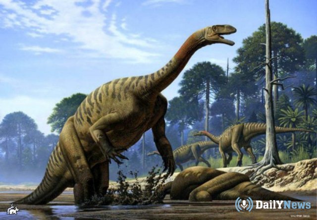 В Монголии обнаружили скелет динозавра зауропода