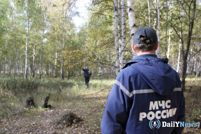 В области Архангельска погиб пенсионер, потерявшийся в лесу