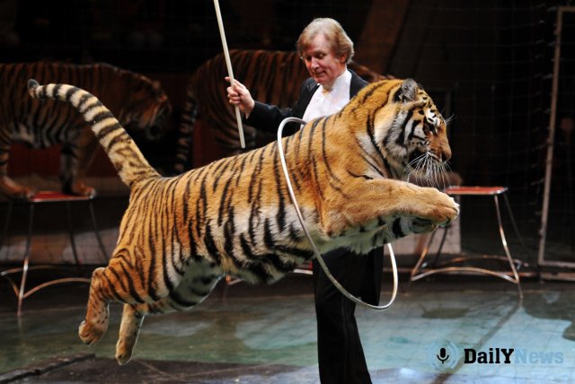 В Чехии планируют запретить выступления диких животных в цирках