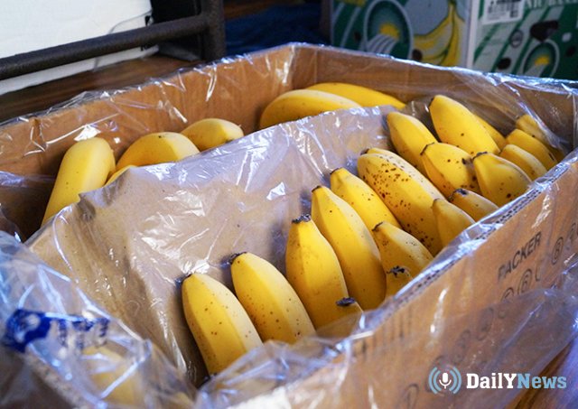 Бананы с наркотиками были найдены в Польше