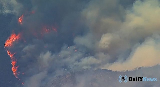 В пожарах в Калифорнии погибло более 70 человек - видео