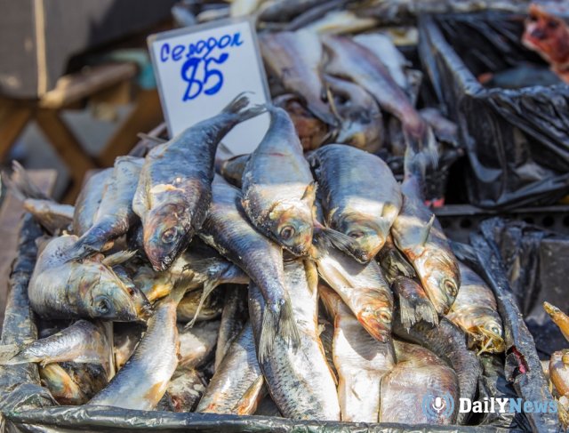 В Приморском крае объявили о старте проекта «Приморская рыба»