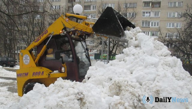 В Пскове проходят поиски компаний, которые бы были готовы оказать услуги по складированию снега.