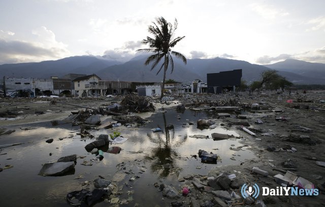 В Индонезии рассказали о жертвах цунами