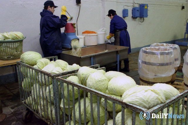 Воронежские предприниматели рассказали о спросе на квашеную капусту