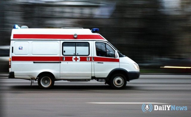Москвич попал в больницу после укуса кобры