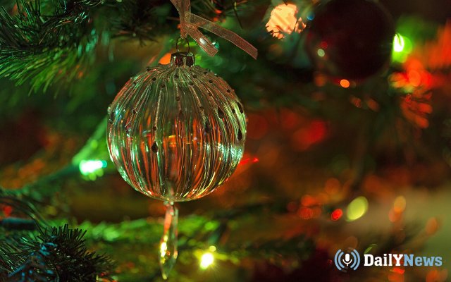 Сотрудники МЧС напомнили об осторожности обращения с новогодними елками и гирляндами в доме
