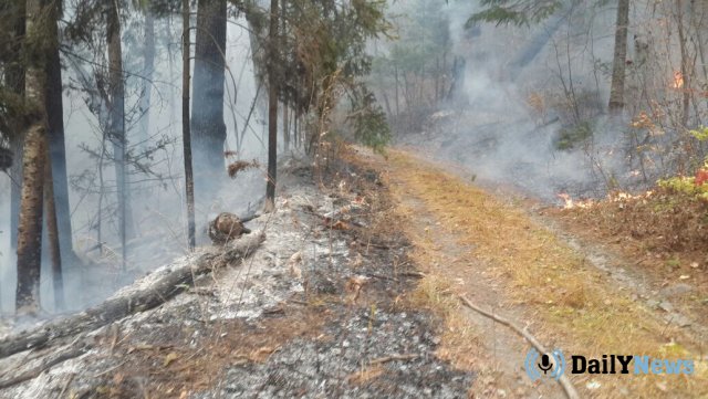 В Приморском крае участились пожары