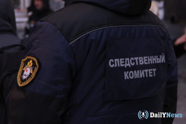 В Санкт-Петербурге проводятся разбирательства по факту избиения школьницы