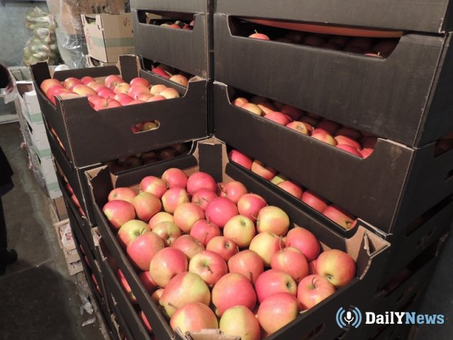 Сотрудники погранслужбы Псковской области сообщили о задержании машин с яблоками
