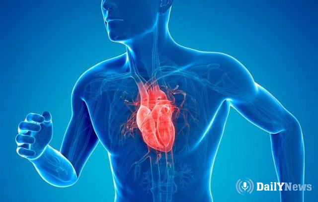 Главный кардиолог страны рассказал о взаимодействии веса и работы сердца