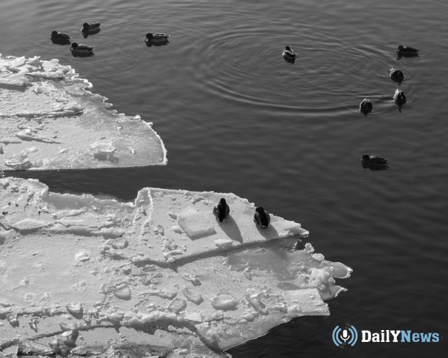 На Москве-реке под лед провалились три человека