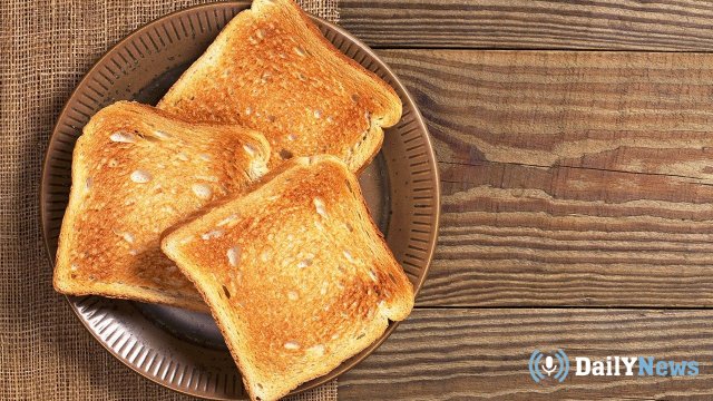 Специалисты из Колорадо сообщили, что хлеб из тостера является токсичным