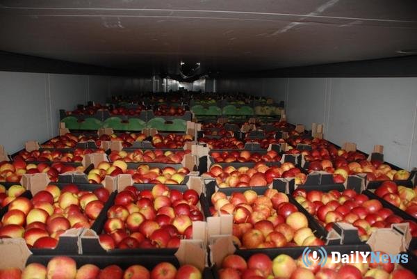 Партию яблок из Польши ликвидировали в Псковской области