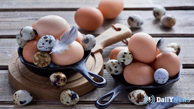 Специалисты дали советы по выбору яиц