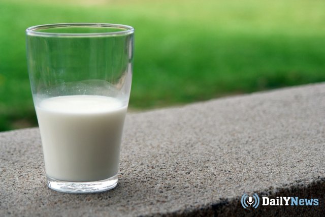 Турист из Китая выпил канистру молока, запрещенную к провозу в страну