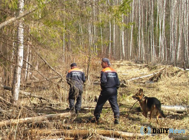В Хакасии сообщили о возобновлении поисков пропавших туристов