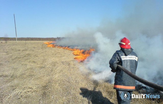Приготовление шашлыков стало причиной масштабного пожара в Коми