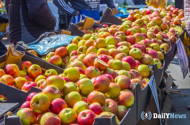 В Псковской области задержали машину с яблоками из Белоруссии