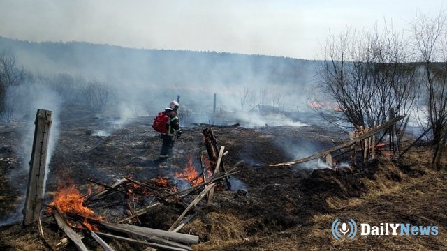 Ликвидация пожаров завершилась в Амурской области