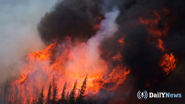 В канадской провинции людей эвакуируют из-за пожаров