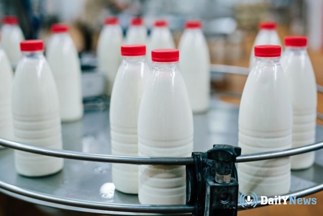 Сбои поставок молочной продукции ожидают в России