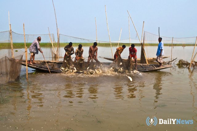 В Бангладеше сообщили о 65-дневном запрете на рыбалку