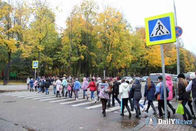 В Тамбовской области состоится акция "Дорога к школе"