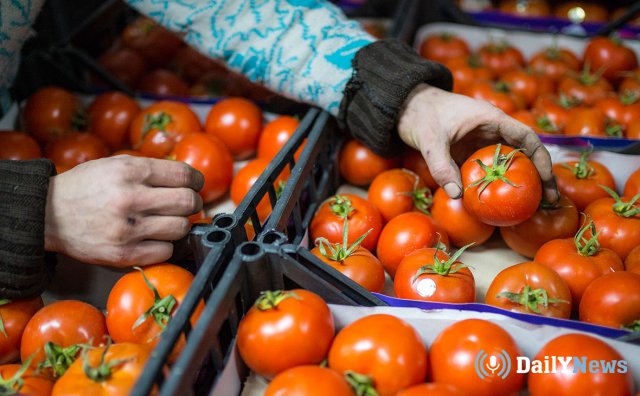 Несколько тонн томатов запретили ввезти в Россию из Турции