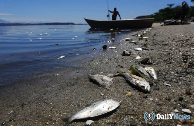 В реке Ижеской области зафиксирована массовая гибель рыбы
