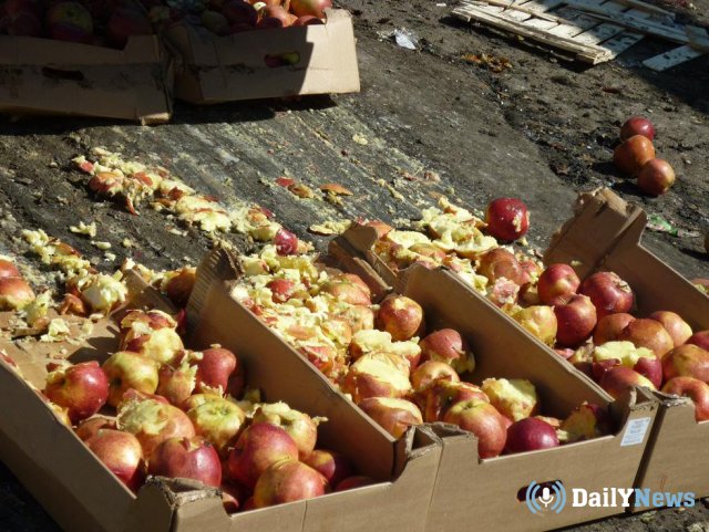 Несколько тонн яблок ликвидировали в Псковской области