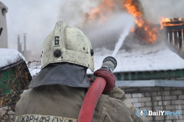 Пожарные Томска спасли из горящего дома кота