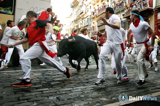 В Испании пострадали несколько человек во время забега с быками