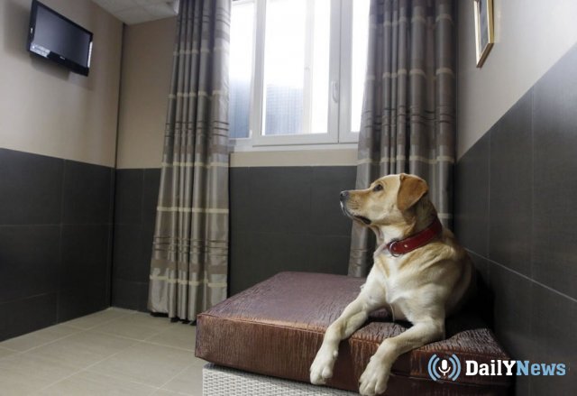 В Стерлитамаке появилась первая государственная гостиница для животных