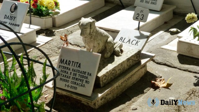 Жительницу Великобритании похоронили на кладбище домашних животных