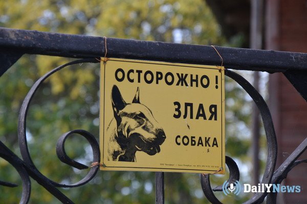 В Свердловской области пес загрыз насмерть человека