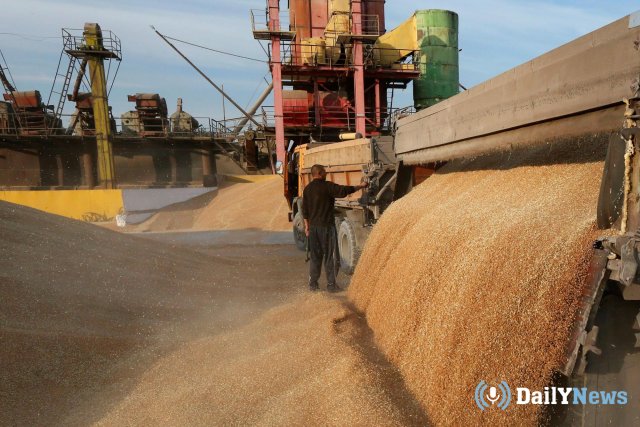 В Ростовской области зафиксирован рост урожая пшеницы