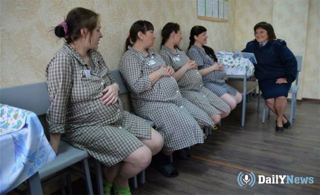 Российское правительство выступило в поддержку законопроекта о правилах содержания беременных в СИЗО