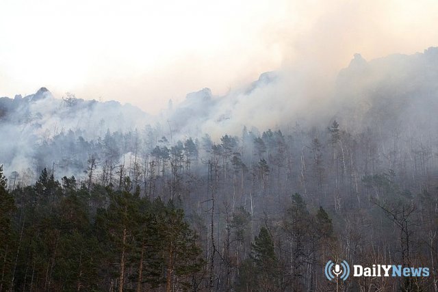 Открытие сезона охоты в Иркутской области перенесено из-за пожаров