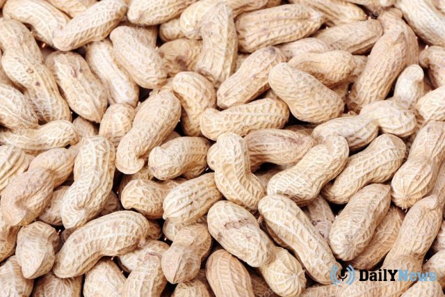 В Россельхознадзоре планируют разрешить возобновить поставки арахиса из США