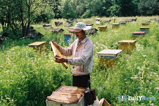 В Башкортостане займутся развитием «медового» туризма