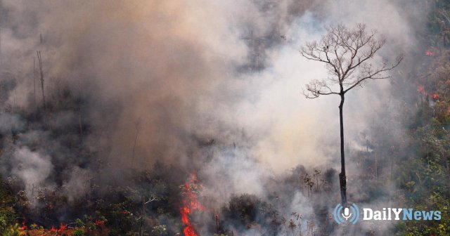 В Бразилии зафиксирован рост числа пожаров