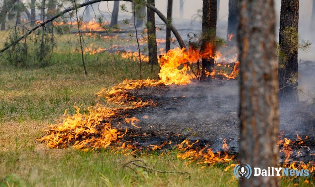 Очередной пожар зафиксирован в Иркутской области
